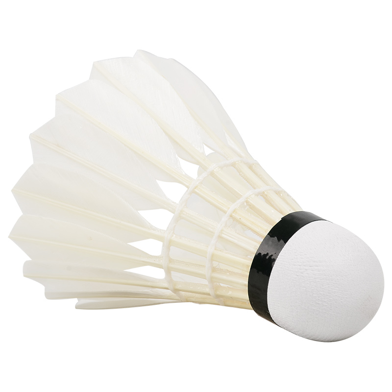 New 12PCS Professional Badmint - Badminton Youtube 评论和价格