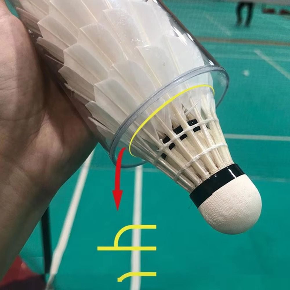 Magnetic Shuttlecocks Storage  - Badminton Youtube 评论和价格